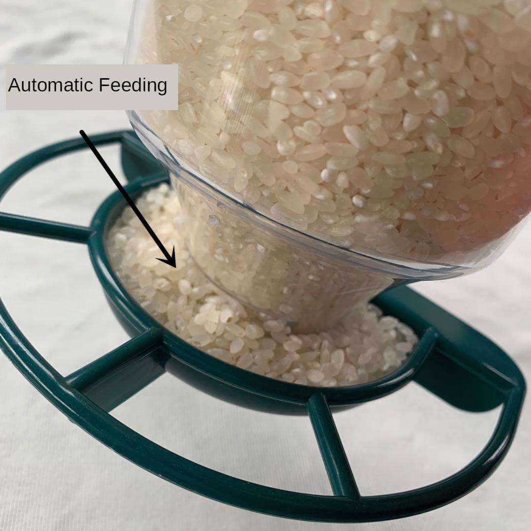 3x Kunststoff Außenspiegelfenster Bird Feeder Nuts Dispenser Für