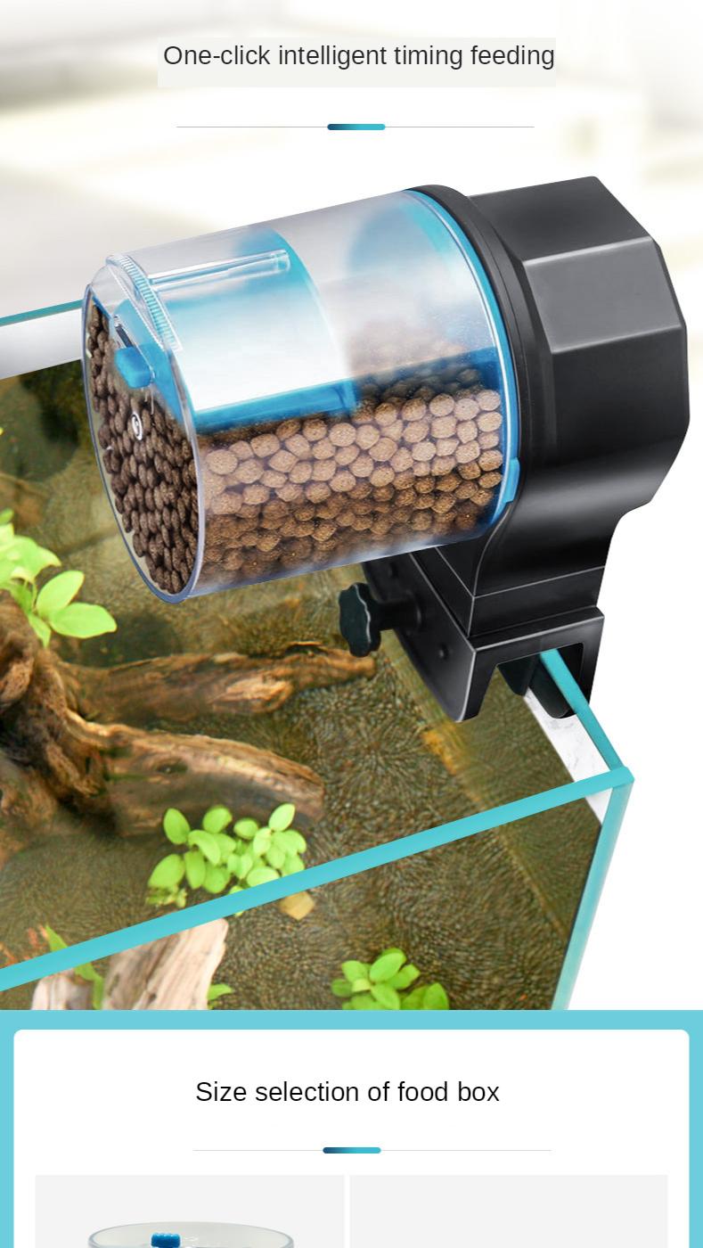 automatic fish feeder for tank with lid