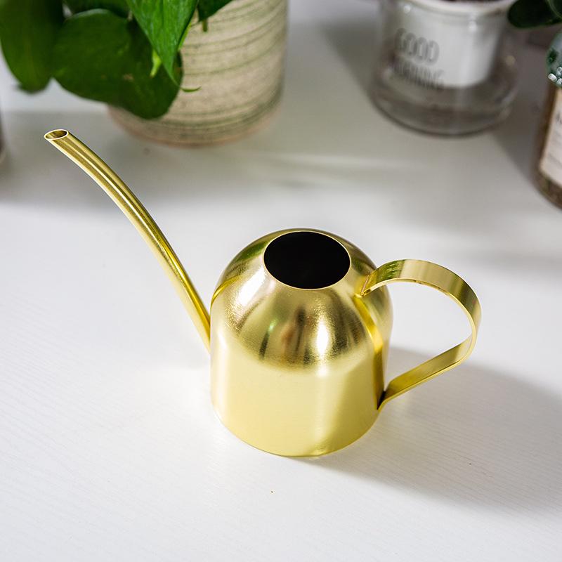 Indoor Kleine Gießkanne Metall Edelstahl 500ml Schmale Ausgusspflanzen